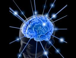 NEUROCIÊNCIA E EDUCAÇÃO INCLUSIVA